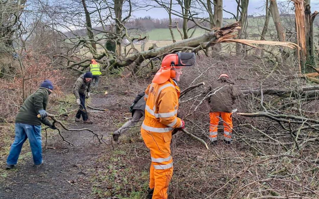 February 2025: Clearing storm damage at Greenwood Crossing on the Tramway Path